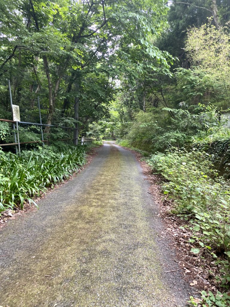 愛川ふれあいの村付近